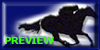 Go to see the Free Preview Site